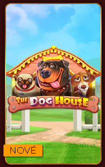 dog-house