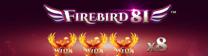 fireird 81 synot