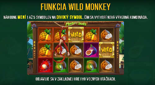 Monkey Slots bonus