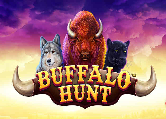 Buffalo Hunt synot games